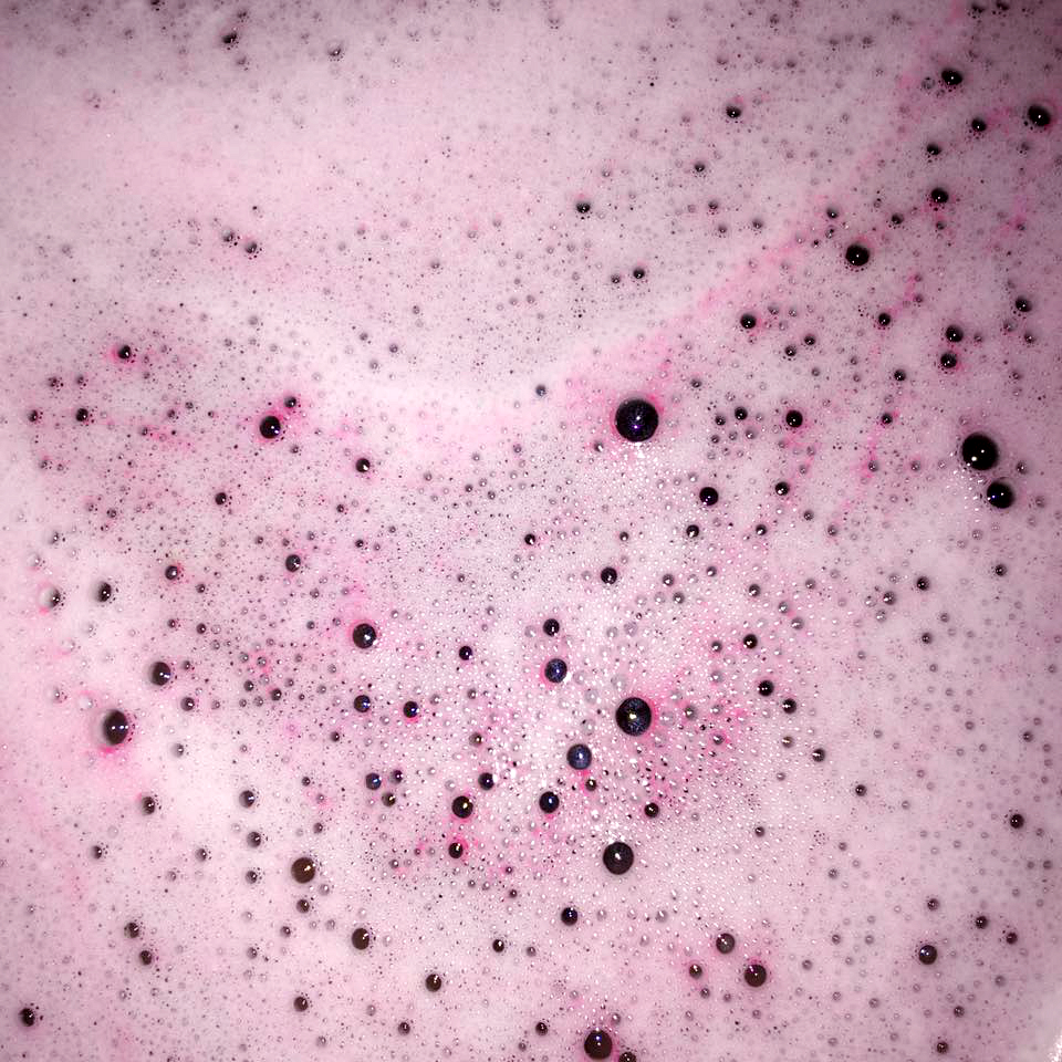 13307389_1794013687494518_6337412345697995574_n