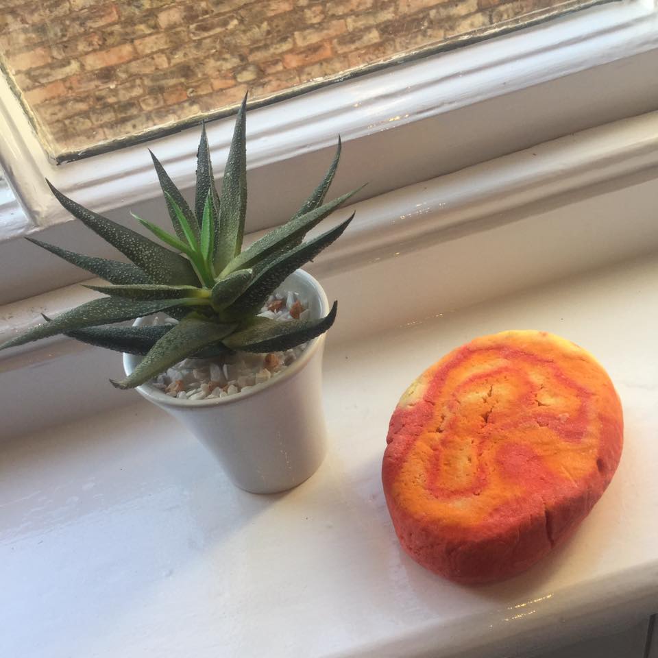 13445269_1800338333528720_126480546602139156_n