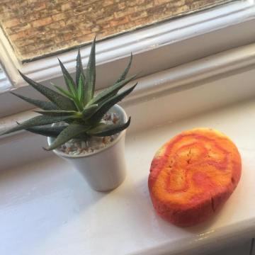 13445269_1800338333528720_126480546602139156_n