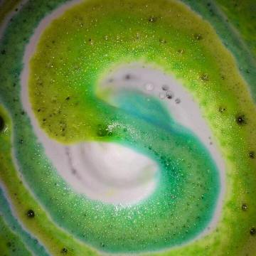 15421023_1891670804395472_6290774524176787693_n