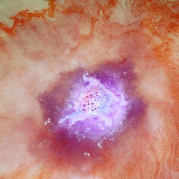 15541234_1893255660903653_7166200084641298393_n