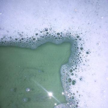 15170916_1880519858843900_1964756850780069182_n