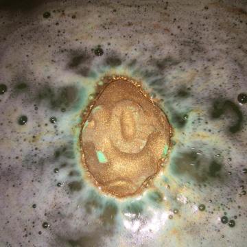 15193556_1881821062047113_1861738199221440611_n