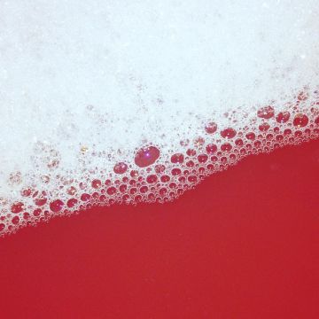 15319100_1886623721566847_8504028459726047243_n