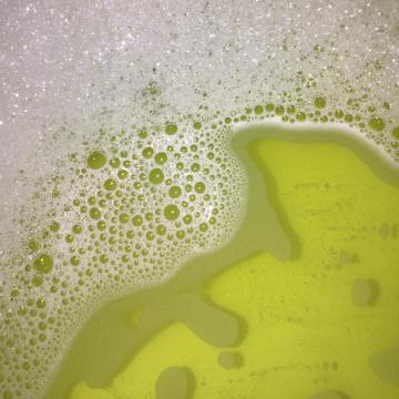 16142861_1907002579528961_567600152730619490_n