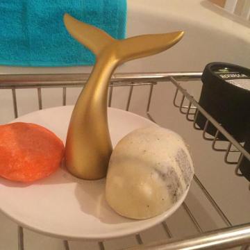 17361499_1938074476421771_7871140354700630286_n