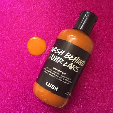 17634400_1945977195631499_2980105460401913841_n