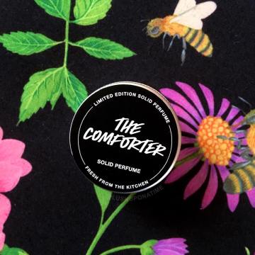 19702062_1993546430874575_8457762863612636250_n