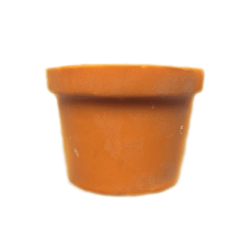 Buck’s Fizz Naked Body Conditioner – Lush Upon A Time